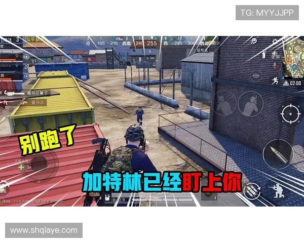 和平精英战术解析：深入探讨IG战队的防守与反击策略