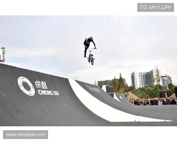 成都极限运动队区域防守分析与战术得失探讨