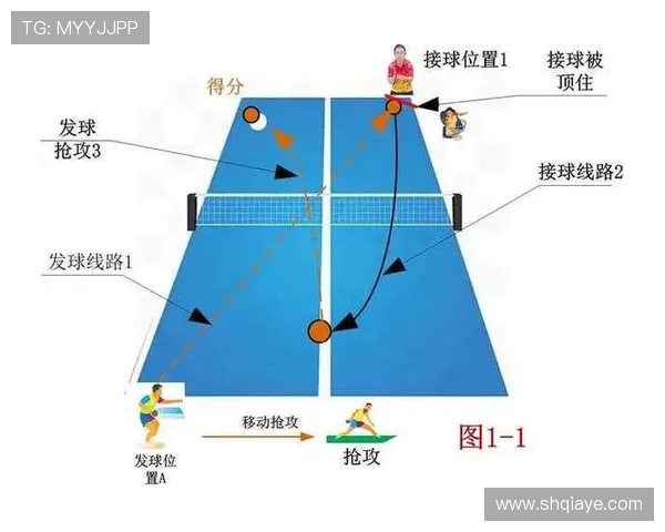 西安乒乓球队战术深度解析与对比分析探讨