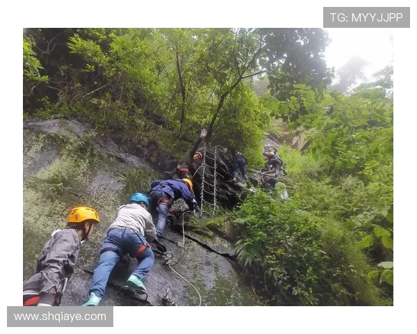 重庆极限运动队在防反策略中的得失分析与未来发展方向探讨