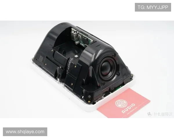 ViperADC在智能数据采集与分析中的应用前景与技术发展探索